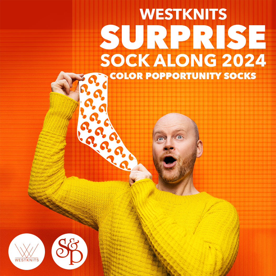 SSAL 2024: Color Popportunity Socks